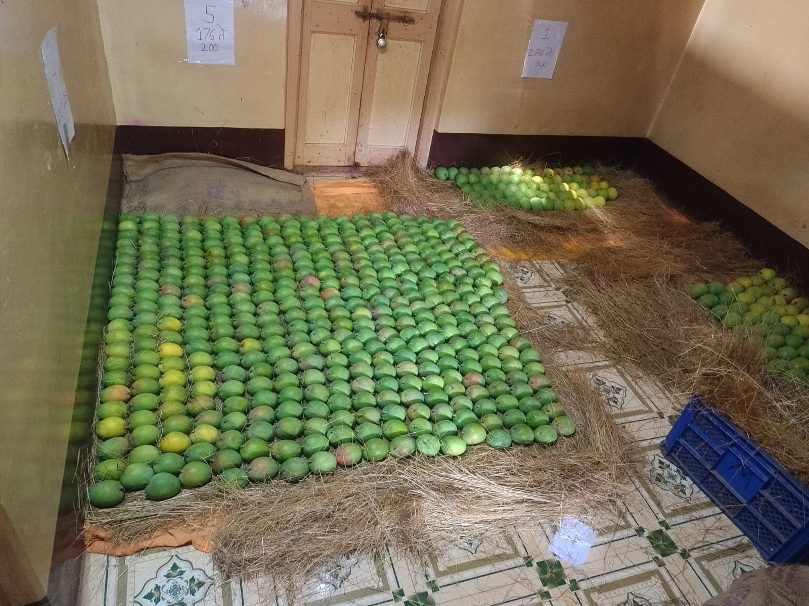 Farm Orchards