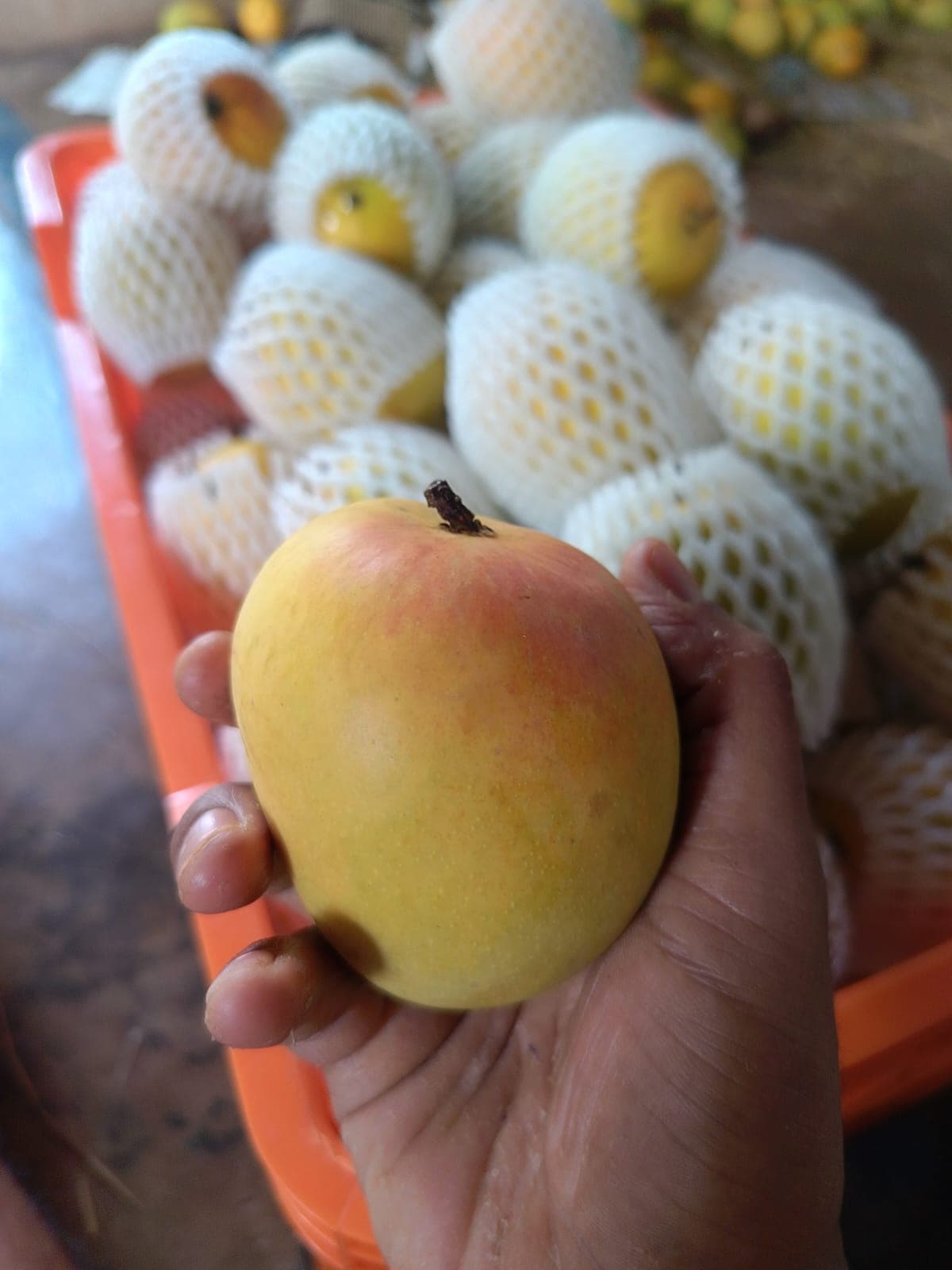 Natural Ripening